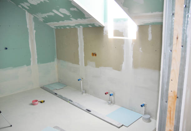 Reliable Breaux Bridge, LA Mold Removal Solutions