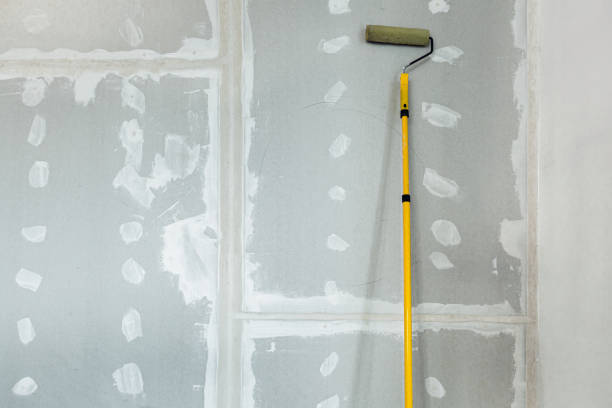 Best Black Mold Removal  in Breaux Bridge, LA