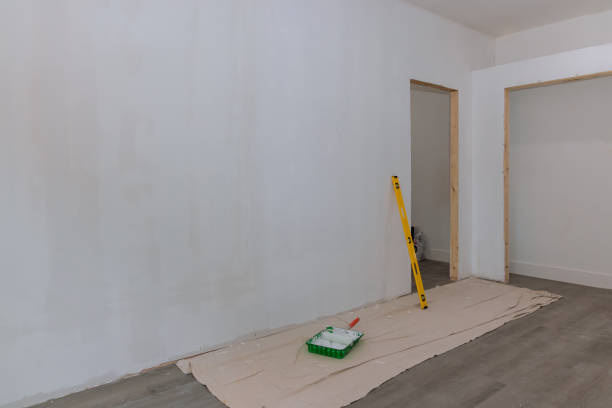 Best Attic Mold Removal  in Breaux Bridge, LA