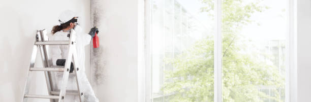 Best Water Damage & Mold Remediation  in Breaux Bridge, LA